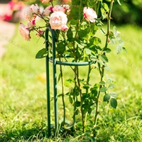 Опора для роз 57-927 металлическая высота 50 см - фото 52264