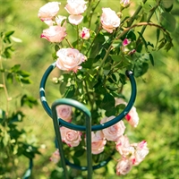 Опора для роз металлическая 57-928 h=75 см - фото 52274