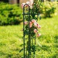 Опора для роз металлическая 57-928 h=75 см - фото 52275