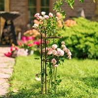 Опора для роз металлическая 57-928 h=75 см - фото 52276