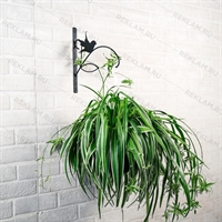 Кронштейн для цветов 201-007B - фото 52508