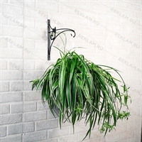 Настенный кронштейн для цветов 201-008B - фото 52528