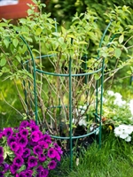 Опора полукруглая для растений металлическая 58-920Gr h= 88см - фото 52599