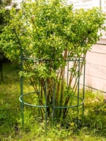 Опора полукруглая для растений металлическая 58-920Gr h= 88см - фото 52600