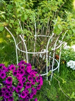 Опора полукруглая для растений 58-921W металл цв.белый h=68 см - фото 52607