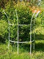 Опора полукруглая для растений 58-921W металл цв.белый h=68 см - фото 52609