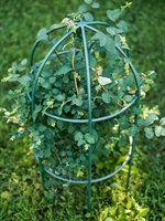 Опора круглая для садовых растений металлическая 58-909Gr h=80 см - фото 52619