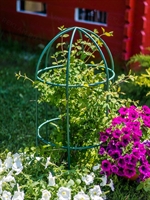 Опора круглая для садовых растений металлическая 58-909Gr h=80 см - фото 52621