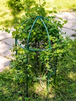 Опора круглая для садовых растений металлическая 58-909Gr h=80 см - фото 52623