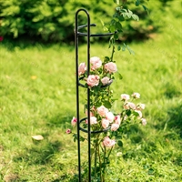 Опора для роз 58-929 металлическая h=99см - фото 52632