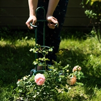 Опора для роз 58-929 металлическая h=99см - фото 52646