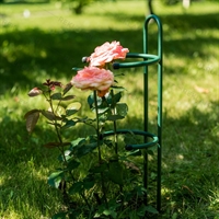 Опора для растений 58-928Gr металл h=74 см - фото 52655