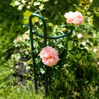 Опора для садовых растений 58-927 h=50 см - фото 52672