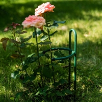 Опора для садовых растений 58-927 h=50 см - фото 52674