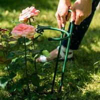 Опора для садовых растений 58-927 h=50 см - фото 52675