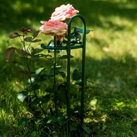 Опора для садовых растений 58-927 h=50 см - фото 52676