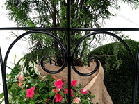 Опора полукруглая для вьющихся растений 58-922B металлическая - фото 52687