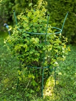 Садовая круглая опора для растений 58-912Gr металл h=89 см - фото 52701