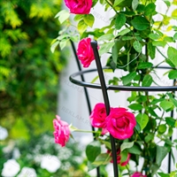 Опора для растений круглая 58-913B металл - фото 52710