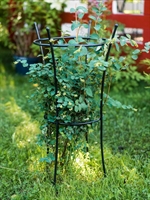 Опора для растений круглая 58-913B металл - фото 52713