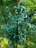 Опора для растений круглая 58-913B металл - фото 52714