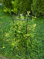 Опора для растений круглая 58-913B металл - фото 52715