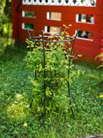 Опора для растений круглая 58-913B металл - фото 52716