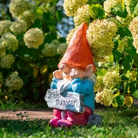 Декоративная фигура для дачи Гном F08370-Or - фото 52778