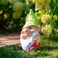 гном садовый