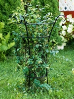 Опора для вьющихся  растений 58-132B металлическая круглая h=100 см - фото 52848