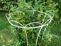 Опора для вьющихся садовых растений 58-136W металлическая круглая h=104 см - фото 52850