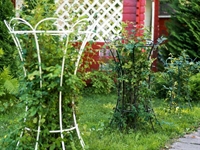 Опора для вьющихся садовых растений 58-136W металлическая круглая h=104 см - фото 52852