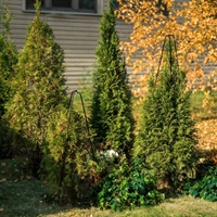 Металлический каркас для укрытия растений 57-128 - фото 53171