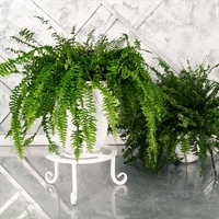 Подставка для цветов напольная 21-009W - фото 53338