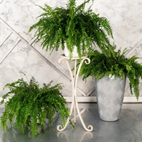 Подставка для цветов напольная - фото 53346