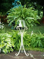 Подставка для цветов напольная - фото 53347