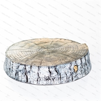 декоративный пень