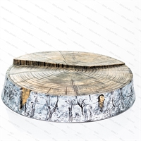 спил березы в ландшафте