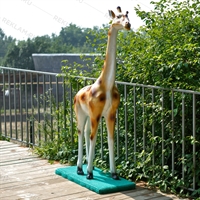 Оформление зоопарка