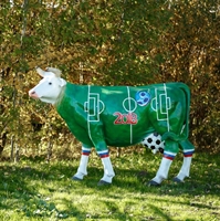 Подготовка чемпионату футбол 2018