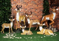 Макет животные леса