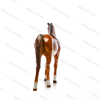 Макет лошади в натуральную величину Макет лошади в натуральную величину