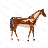 Ростовая фигура Лошадь бурая, пластик, 235 x 190 см. - фото 7358 Ростовая фигура Лошадь бурая, пластик, 235 x 190 см. - фото 7358