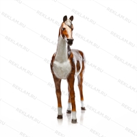 Ростовая фигура Лошадь бурая, пластик, 235 x 190 см. - фото 7361 Ростовая фигура Лошадь бурая, пластик, 235 x 190 см. - фото 7361