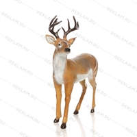 Наружная реклама петербург